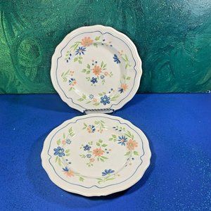 Country French ~ Ironstone ~ 7 1/2" Salad or Dessert Plates ~ Set of 2 ~ YaY!